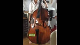 Trinity Double Bass Grade 1 study 3 [upl. by Rehpotsirk]