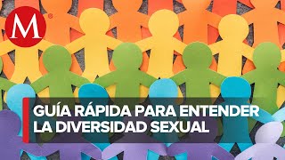 ¿Qué significan las siglas LGBTTTIQA [upl. by Lawlor]