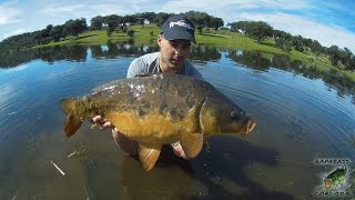 Carpfishing en Carboneras  Stalking  HD [upl. by Verdi]