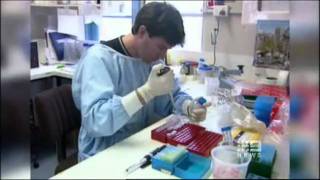 New melanoma treatments  Channel 9 News Sydney [upl. by Jaf]