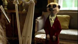 Official Interview with The Sun starring Aleksandr Orlov Founder of Compare the Meerkat [upl. by Nnaeirrac]