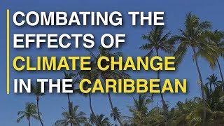 Combating the effects of climate change in the Caribbean [upl. by Clare]