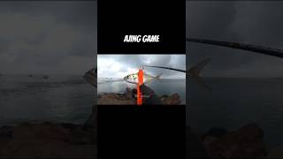 Ajing Fishing ajing fishing rapalafishing keranga mancing [upl. by Tymothy]