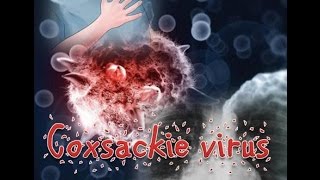 Coxsackie virus [upl. by Premer611]