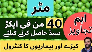 How to achieve maximum Yield of Peas Seeds  Peas Farming and Fertilizer Schedule  Clinic Agro Farm [upl. by Gearard894]