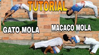 capoeira Tutorial 47 Macaco mola  Gato Mola  Flic Flac mola  Kick up  Suicídio [upl. by Nnyrat373]