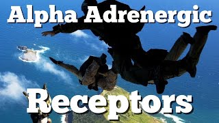 Alpha Adrenergic Receptor Types Location and Function Alpha 1 and Alpha 2 Mechanism of Action [upl. by Ledniahs745]