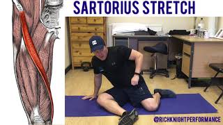 Sartorius Muscle Stretch [upl. by Ennoval667]