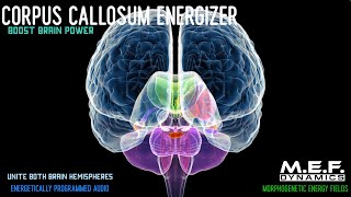 Corpus Callosum Function Amplifier [upl. by Helga270]