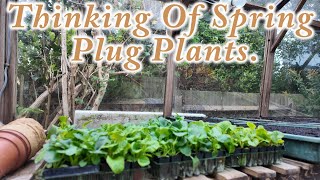 Thinking Of Spring Plug Plants [upl. by Naida238]