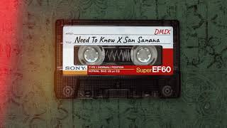 Need To Know X San Sanana  Doja Cat amp Alka Yagnik  DMix [upl. by Sueaddaht393]