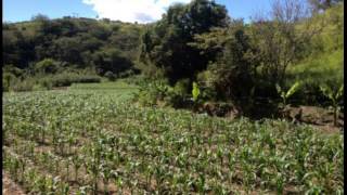 Venta de terreno en Catamayo Loja Ecuador [upl. by Wj]