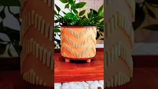 Diy planter using match stick diy craft matchstickcraft homedecor bestoutofwaste youtubeshorts [upl. by Jasmina]