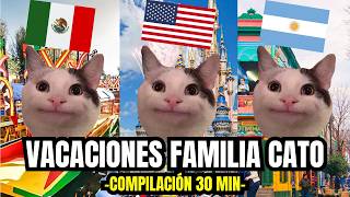 VACACIONES FAMILIA CATO  compilación 30 minutos meme de gatos [upl. by Jadd153]