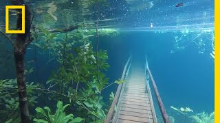 Heavy Rains Submerge Hiking Trails in Crystal Clear Waters  National Geographic [upl. by Paulette]