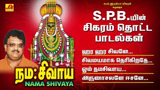 நமசிவாய நமசிவாய பாடல்  Namasivaya Song Subam AudioVision shivansongs devotionalsong spbsongs [upl. by Fransen]