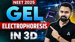 Gel Electrophoresis in 3D  How Gel Electrophoresis Works  NEET 2025  Vishal Sir [upl. by Venus]