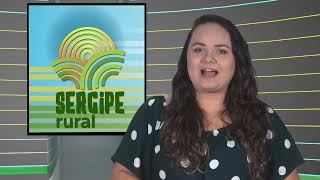 SERGIPE RURAL  PROGRAMA 365 [upl. by Mckenna]