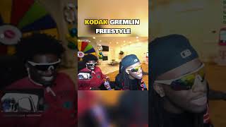 Kodak is geekin Kai Cenat looks concerned kaicenatstream kodakblack kaicenatclip [upl. by Latsyrhk]