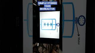 Simple Stirred tank bioreactor [upl. by Eessac803]