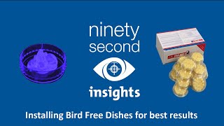 Installing Bird Free Dishes for best results [upl. by Inafetse]