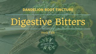 Dandelion Root Tincture Digestive Bitters [upl. by Eilyk601]