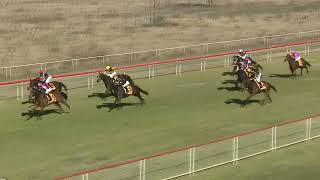 Cootamundra 18 05 2024 Race 2 [upl. by Aicek464]