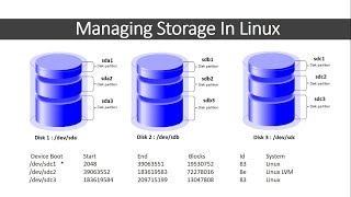 Managing Storage in Linux with fdisk  lsblk  blkid  du and df command [upl. by Rahs90]