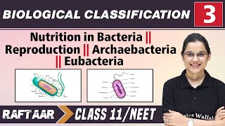 Biological Classification 03  Nutrition in Bacteria l Reproduction l Class 11NEET  RAFTAAR [upl. by Lusty974]