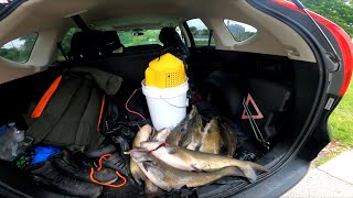 Catfish Set Up Filling My Trunk With Big Channel Catfish [upl. by Nimajeb]