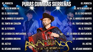 Los Alameños de La Sierra  Canciónes Puras Pa Bailar  Corridos y Cumbias Sierreñas [upl. by Ellenej]