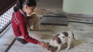 🌸Guddu को हुई Exam की🤦‍♀️Tension  🐕‍🦺ये तो घर ही मिलने 🥰आ गया  Guddu and Ishu Show [upl. by Kerin]