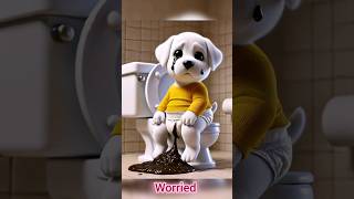 cute dog video  dog poop in pamper  dog doglover dogs shorts dogshorts viralvideo dogvideos [upl. by Glynn]