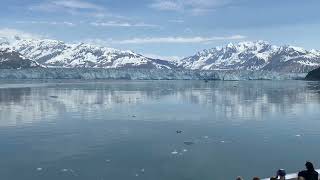 20240627 Hubbard Glacier Alaska 44 [upl. by Oilut887]