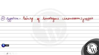 is marked by terminalisation of chiasmata 1 Leptotene 2 Zygotene 3 Diplotene 4 Di [upl. by Elbertine333]