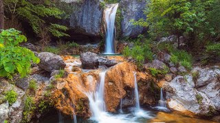 Relaxing Music with Water Sounds Bird SoundStress Relief Sleep Meditation Music [upl. by Irpak364]