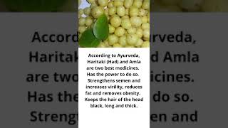 Amla Benefits  Amla Benefits In English  Amla Benefits For Health  Indian Gooseberry shorts [upl. by Arlin]