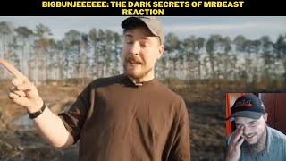 Bigbunjeeeeee The Dark Secrets Of MrBeast Reaction [upl. by Maier]