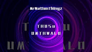 Thusu UmthwaloMrNationThingz [upl. by Bollen]