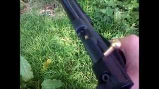 Crosman Ratcatcher 2250B [upl. by Acinehs]