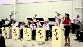 Over the Rainbow  Salisbury Swing Band featuring Laura Millspaugh [upl. by Yrreg]