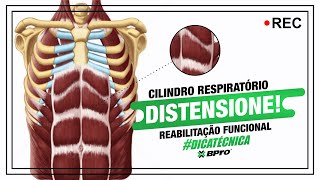 DISTENSIONAR O CENTRO DO CORPO  Técnicas de respiração diafragmática [upl. by Bainter]