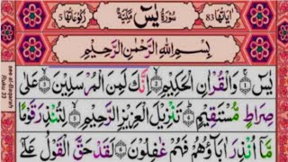 yaseen  surah yaseen best voice  surah yaseen ki tilawat  سورة يسsaday quran zikrullah tv [upl. by Joash]