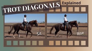 Rising Trot  Posting Trot  How To Find Your Diagonals [upl. by Ifen]