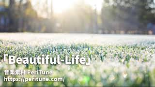 【有料フリーBGM】ピアノとギターのキラキラした明るい曲「Beautiful Life」 [upl. by Evetta503]