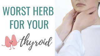 AVOID this HERB If You Have Hashimotos Thyroiditis  How to Heal Hashimotos Thryoiditis Naturally [upl. by Nonnah]