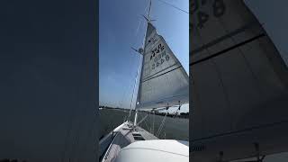 Continuous pro  furlingboom mainsail xyachts shorts [upl. by Tobey]