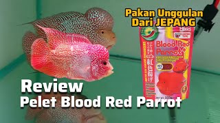 Review Pelet Red Blood Parrot untuk ikan louhan Golden Base SRM Kamfa Klasik [upl. by Leumek]