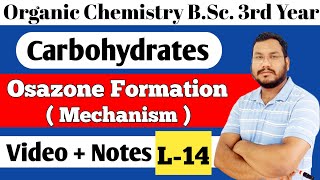 Formation of osazone mechanism Glucose Fructose osazone formation BSc 3rd year organic chemistry [upl. by Hardden]