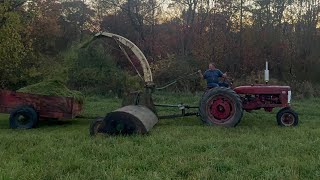 Flail Chopping With The Farmall H [upl. by Newbill]